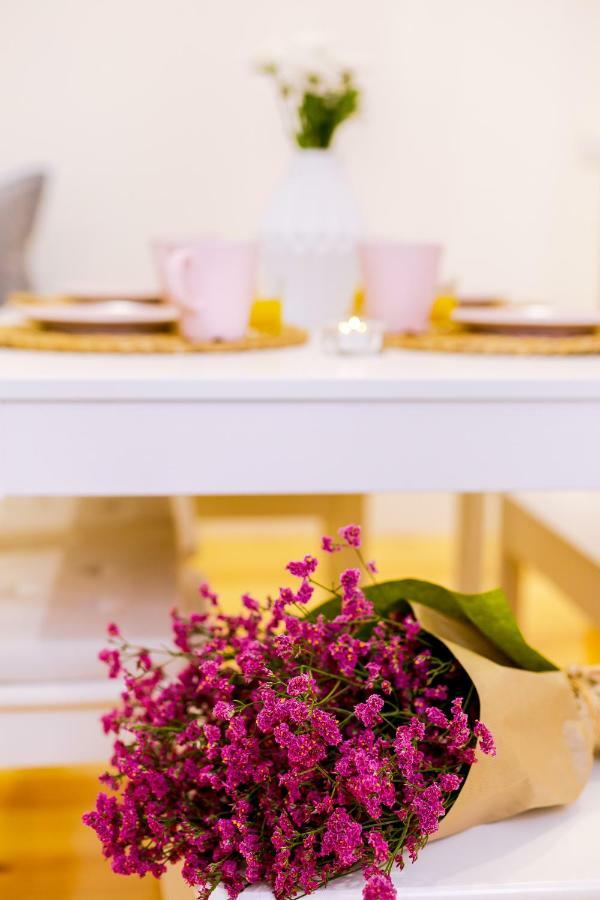 Appartement Casa Dos Doutores, A Cozy In